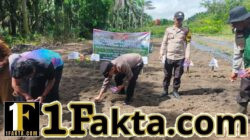 Kapolsek Pangkalan Lesung Pimpin Penanaman Jagung Hibrida di Pelalawan