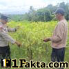 Polsek Bunut Cek Lahan Ketahanan Pangan di Desa Petani, Dukung Optimalisasi Pertanian Warga