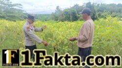 Polsek Bunut Cek Lahan Ketahanan Pangan di Desa Petani, Dukung Optimalisasi Pertanian Warga