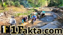 Wujud Kepedulian TNI, Babinsa di Celala Bantu Warga Siapkan Jembatan Pelintasan Kebun