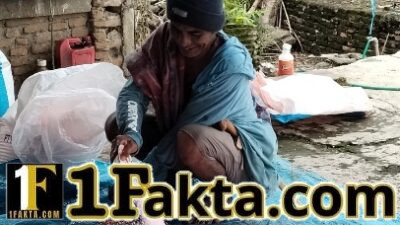 Pasokan Pupuk Subsidi di Lilirilau Disorot, Luas Lahan Ribuan Hektare Dinilai Tak Seimbang dengan Distribusi