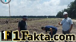 Polsek Siak Hulu Cek Perkembangan Penanaman Jagung Kuartal II Bersama KOPPSA-M