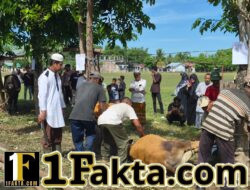 Warga Dusun Cureh BTN Kupula Indah Sembelih 20 Ekor Hewan Qurban