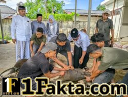 Hari Raya Idul Adha, Kapolres Lhokseumawe Sembelih Langsung Hewan Kurban di Mapolres