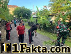 Babinsa Dauh Puri Bersama Warga Rawat Kebun Ketahanan Pangan