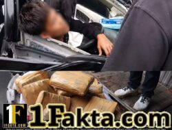 Avanza BL 1506 HC Ringsek Usai Tabrak Truk, Muatan 50 Kg Ganja Terbongkar