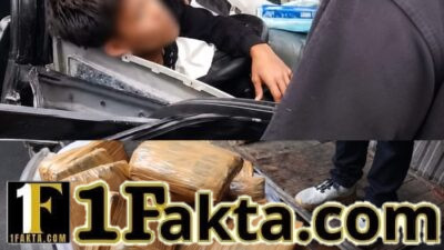 Avanza BL 1506 HC Ringsek Usai Tabrak Truk, Muatan 50 Kg Ganja Terbongkar