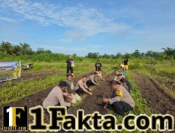 Kapolsek Tapung Kompol Y,E Bambang Dewanto Lansung Hadir Penanaman Jagung Pipil Kuartal II Desa Sei Putih