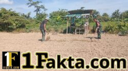 Dukung Ketahanan Pangan, Babinsa Bantu Pengolahan Lahan Pertanian Masyarakat