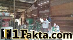 Dukung Ketahanan Pangan, Babinsa Bantu Pengolahan Hasil Pertanian Padi Masyarakat