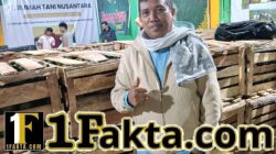 Harga Alpukat dan Kentang Aceh Tengah Naik, Rumah Tani Nusantara Jadi Penopang Pasar Petani