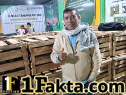 Harga Alpukat dan Kentang Aceh Tengah Naik, Rumah Tani Nusantara Jadi Penopang Pasar Petani