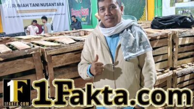 Harga Alpukat dan Kentang Aceh Tengah Naik, Rumah Tani Nusantara Jadi Penopang Pasar Petani