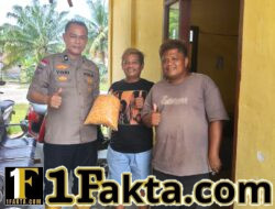 Ketahanan Pangan Jadi Wujud Pengabdian Polri kepada Masyarakat, Polsek Tapung Terus Kembangkan Tanam Jagung Pipil di Wilayah Hukumnya