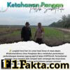 Bhabinkamtibmas Desa Pangkalan Baru Pantau Pertumbuhan Jagung Pipil di Lahan KOPPSA-M, Dukung Ketahanan Pangan Nasional