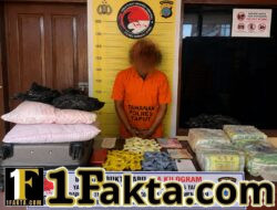Sindikat Narkoba Antar Pulau Terbongkar, 8,4 Kg Sabu Disita di Bandara Silangit