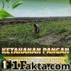 Bhabinkamtibmas Desa Pangkalan Baru Pantau Pertumbuhan Jagung Pipil, Dukung Ketahanan Pangan Nasional