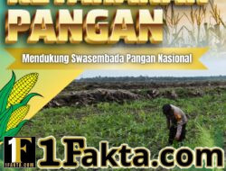 Bhabinkamtibmas Desa Pangkalan Baru Pantau Pemeliharaan Jagung Pipil, Dukung Ketahanan Pangan Nasional