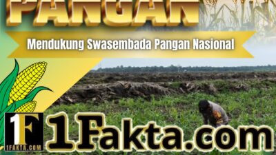 Bhabinkamtibmas Desa Pangkalan Baru Pantau Pemeliharaan Jagung Pipil, Dukung Ketahanan Pangan Nasional