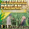 Bhabinkamtibmas Desa Tanah Merah Pantau Pemeliharaan Jagung Pipil, Dukung Ketahanan Pangan Daerah