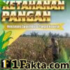 Bhabinkamtibmas Desa Pandau Jaya Aktif Pantau Perkembangan Tanaman Jagung Warga