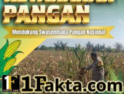 Bhabinkamtibmas Desa Pandau Jaya Aktif Pantau Perkembangan Tanaman Jagung Warga