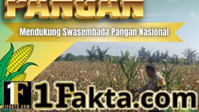 Bhabinkamtibmas Desa Pandau Jaya Aktif Pantau Perkembangan Tanaman Jagung Warga