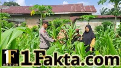 Bhabinkamtibmas Desa Empat Balai dan Desa Pulau Jambu Aktif Dampingi Petani Jagung demi Ketahanan Pangan