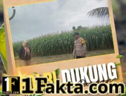 Sinergitas Komitmen Polri dan Petani, Bhabinkamtibmas Kepau Jaya kawal ketahanan Pangan Desa