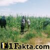 Polsek Bangkinang Barat Terus Lakukan Pendampingan Petani Pemeliharaan Tanaman Jagung di Desa Batu Langkah Kecil.