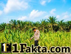Ketahanan Pangan Jadi Prioritas, Personel Polsek Siak Hulu Dampingi Petani Jagung di Desa Baru