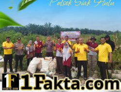 Personel Polsek Siak Hulu Dukung Swasembada Pangan, Panen Jagung Kuartal II di Desa Baru
