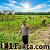Bhabinkamtibmas Desa Pangkalan Baru Cek Perkembangan Tanaman Jagung KOPPSA-M Dukung Swasembada Pangan Nasional