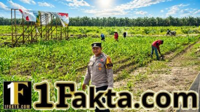 Bhabinkamtibmas Desa Pangkalan Baru Cek Perkembangan Tanaman Jagung KOPPSA-M Dukung Swasembada Pangan Nasional