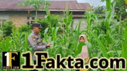 Polsek Bangkinang Barat Komitmen Wujudkan Swasembada Pangan di Wilayah Hukumnya Akan Menghasilkan dengan Maksimal