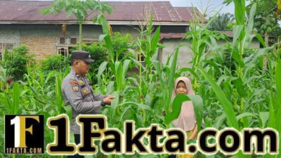 Polsek Bangkinang Barat Komitmen Wujudkan Swasembada Pangan di Wilayah Hukumnya Akan Menghasilkan dengan Maksimal