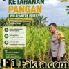 Bhabinkamtibmas Desa Baru intensif Pantau Perkembangan Jagung Milik Warga