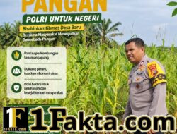 Bhabinkamtibmas Desa Baru intensif Pantau Perkembangan Jagung Milik Warga
