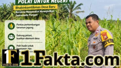 Bhabinkamtibmas Desa Baru intensif Pantau Perkembangan Jagung Milik Warga
