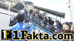 PELNI Buka Lowongan Magang Posisi Sistem Mutu dan K3LH, Simak Syarat dan Jadwal Pendaftarannya