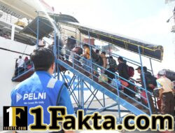 PELNI Buka Lowongan Magang Posisi Sistem Mutu dan K3LH, Simak Syarat dan Jadwal Pendaftarannya