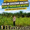Polsek Siak Hulu Aktif Dampingi Petani, Pantau Perkembangan Tanaman Jagung di Desa Baru