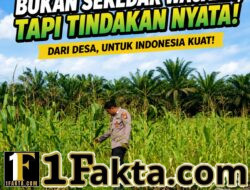 Polsek Siak Hulu Aktif Dampingi Petani, Pantau Perkembangan Tanaman Jagung di Desa Baru