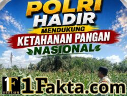 Jaga Produktivitas Pertanian, Bhabinkamtibmas Rutin Pantau Perkembangan Jagung Warga