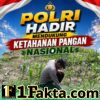Bhabinkamtibmas Desa Pangkalan Baru Pantau Pertumbuhan Jagung KOPPSA-M, Wujud Nyata Dukungan Polri untuk Ketahanan Pangan