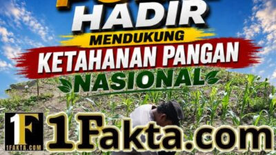 Bhabinkamtibmas Desa Pangkalan Baru Pantau Pertumbuhan Jagung KOPPSA-M, Wujud Nyata Dukungan Polri untuk Ketahanan Pangan