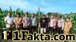Kapolsek Tapung Bersama Kades Sei Putih Langsung Lakukan Pengecekan Tanaman Jagung Pipil