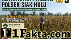 Bhabinkamtibmas Desa Pandau Jaya Monitoring Perkembangan Jagung Pipil untuk Mendukung Ketahanan Pangan
