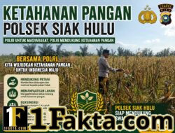 Bhabinkamtibmas Desa Pandau Jaya Monitoring Perkembangan Jagung Pipil untuk Mendukung Ketahanan Pangan