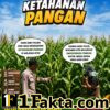 Polisi Cinta Petani: Bhabinkamtibmas Desa Tanah Merah Cek Kondisi Tanaman Jagung Dukung Ketahanan Pangan Nasional